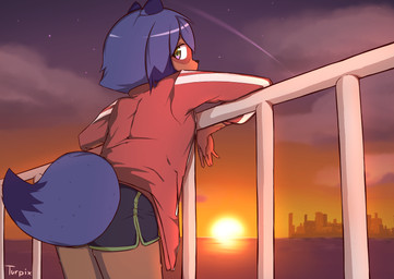 5_fingers anthro blue_body blue_fur blue_hair brown_body brown_fur butt city clothed clothing cloud female fingers fluffy fluffy_tail fur hair jacket looking_at_viewer looking_back outside sea short_hair sunset tail topwear water turpix brand_new_animal studio_trigger michiru_kagemori canid canine mammal raccoon_dog tanuki 2020 alternate_version_at_source hi_res