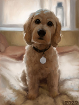 bed black_collar black_nose brown_eyes collar curled_fur feral floppy_ears fur furniture inside looking_at_viewer on_bed quadruped sitting solo tan_body tan_fur window alexpahomov bird_dog canid canine canis cocker_spaniel domestic_dog hunting_dog mammal mixed_breed poodle spaniel 2022 digital_media_(artwork) digital_painting_(artwork) hi_res painting_(artwork)