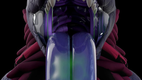 anthro anthro_pred bodily_fluids colored_saliva dripping fangs first_person_view goo_drip green_saliva hair horn larger_anthro larger_male larger_pred licking licking_viewer looking_at_viewer male male_pred mouth_shot muscular muscular_anthro muscular_male open_mouth purple_body purple_flesh purple_tongue red_eyes saliva saliva_drip saliva_on_tongue saliva_string sharp_teeth simple_background size_difference slime spiked_tail spikes spikes_(anatomy) tail teeth throat tongue tongue_out unusual_bodily_fluids unusual_saliva slawbber sound_warning mythology devourer_(razor_koopa) dragon goo_creature goo_dragon mythological_creature mythological_scalie scalie swaggon 16:9 3d_(artwork) 3d_animation animated blender_(artwork) blender_cycles_(artwork) digital_media_(artwork) hi_res short_playtime sound video widescreen