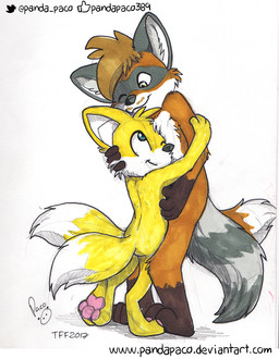 2_tails anthro anthro_on_anthro black_nose blue_eyes brown_body brown_fur brown_hair closed_smile duo fur grey_body grey_fur grey_tail hair head_tuft hug logo male male/male markings mouth_closed multi_tail nude one_eye_closed paw_to_paw pawpads pink_pawpads short_hair simple_background smile standing striped_markings striped_tail stripes tail tail_markings tuft white_background white_body white_fur yellow_body yellow_fur young young_anthro young_male pandapaco canid canine fox mammal procyonid raccoon 2017 artist_logo dated signature