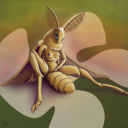 4_arms antennae_(anatomy) anthro arthropod_abdomen breasts claws clitoral clitoral_masturbation clitoral_rubbing clitoris female fingering fur genitals looking_at_viewer masturbation membrane_(anatomy) membranous_wings multi_arm multi_limb nipples non-mammal_breasts nude simple_background solo tuft vaginal vaginal_fingering vaginal_masturbation vulva wings yellow_body yellow_fur phinja arthropod insect lepidopteran moth 1:1 2018 digital_media_(artwork) hi_res