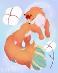 calm cotton female feral fur plant sky solo sparkles star hopemillts canid canine fox mammal 4:5 hi_res