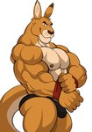 abs anthro armband barazoku biceps big_muscles bulge clothed clothing looking_at_viewer male muscular muscular_anthro muscular_male nipples pecs simple_background smile solo tail text topless underwear underwear_only white_background darknaigart kangaroo macropod mammal marsupial absurd_res digital_media_(artwork) hi_res