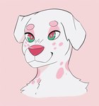 anthro femboy floppy_ears fur male markings ring_(marking) solo white_body white_ears white_fur clion clion_(character) canid canine canis dalmatian domestic_dog mammal 2022 colored hi_res