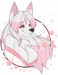 anthro asian_clothing breasts cherry_blossom cleavage clothed clothing east_asian_clothing female flower fur hair japanese_clothing kimono long_hair off_shoulder plant prunus_(flower) simple_background solo white_body white_fur samagram93 sakura_d._lyall canid canine canis mammal wolf hi_res