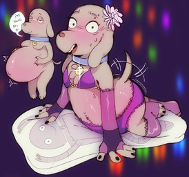 abstract_background accessory anthro arm_warmers armwear belly big_belly blush bodily_fluids body_pillow bra chest_tuft claws clothing collar dakimakura dakimakura_pillow dialogue eyebrow_piercing facial_piercing femboy flower flower_in_hair fur grey_body grey_fur hair hair_accessory half-closed_eyes hand_on_belly huge_belly hyper hyper_belly hyper_pregnancy leg_warmers legwear looking_at_viewer male motion_lines narrowed_eyes navel outie_navel panties piercing pillow plant pregnant pregnant_anthro pregnant_male slightly_chubby smile solo speech_bubble sweat sweatdrop tail tail_motion tailwag tuft underwear salamikii robot_dreams dog_(robot_dreams) canid canine canis domestic_dog mammal 2026 hi_res multiple_scenes