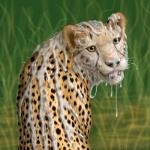 1:1 bodily_fluids cheepard cheepard_(character) cheetah cum cum_in_mouth cum_inside cum_on_body cumshot ejaculation excessive_cum excessive_genital_fluids felid feline feral genital_fluids hi_res male mammal open_mouth orgasm realistic solo