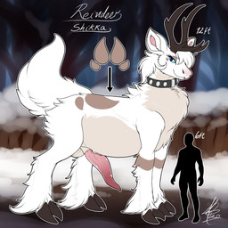 alternate_species antlers big_penis black_antlers black_collar black_hooves blue_eyes blue_sclera chart collar collar_only comparing feral fur fur_markings genitals grey_body grey_fur hooves horn male male_feral markings nude penis pink_inner_ear pink_penis silhouette size_chart size_difference tail tapering_penis text white_body white_fur white_tail shikaro shikaro_(character) deer human mammal new_world_deer reindeer 1:1 2020 absurd_res english_text hi_res