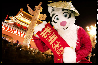 china clothed clothing costume fursuit male real scroll solo text gallenw chinese_zodiac year_of_the_tiger zakari felid mammal pantherine tiger 2010 chinese_text grandfathered_content photography_(artwork)