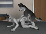 2009 3d_(artwork) 3d_animation 4:3 all_fours anal anal_knotting anal_orgasm anal_penetration animal_genitalia animal_penis animated anthro anthro_on_feral anthro_penetrated anus balls becoming_erect bestiality black_anus blue_eyes bodily_fluids bouncing_balls bouncing_penis butt canid canine canine_genitalia canine_penis canis close-up cum cum_in_ass cum_inside cum_on_balls cum_on_ground cum_while_penetrated diamondwing digital_media_(artwork) doggystyle domestic_dog dragon duo ejaculation erection feral feral_penetrating feral_penetrating_anthro flash_conversion from_behind_position fur genital_fluids genitals girly glans grey_body grey_fur h0rs3 hands-free humanoid_genitalia humanoid_penis humping husky inside interspecies knot knot_swelling knotting leaking_cum licking long_playtime male male/male male_on_anthro male_on_feral male_penetrated male_penetrating male_penetrating_male mammal mythological_creature mythological_scalie mythology no_sound nordic_sled_dog on_ground orgasm penetration penile penile_penetration penis penis_in_ass penis_tip pink_glans pink_penis scalie sex spitz tail tail_motion tailwag tongue tongue_out webm white_balls white_body white_fur white_penis white_skin