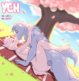 anthro atmosphere auction cherry_blossom cuddling date duo female flower from_front_position kissing love lying male male/female missionary_position nature on_back penetration picnic plant prunus_(flower) romantic sex size_difference tenderness under_tree vaginal vaginal_penetration fineceru ych_(character) hi_res