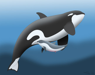 animal_genitalia cetacean cunnilingus dolphin duo eyes_closed female feral feral_on_feral genital_slit green_eyes male male/female mammal marine oral orca penis pussy sex size_difference slit snout_fuck tasuric underwater vaginal water whale
Rating: Explicit
Score: 3
User: Lizardite
Date: January 06, 2014 animal_genitalia cetacean cunnilingus dolphin duo eyes_closed female feral feral_on_feral genital_slit green_eyes male male/female mammal marine oral orca penis pussy sex size_difference slit snout_fuck tasuric underwater vaginal water whale
Rating: Explicit
Score: 3
User: Lizardite
Date: January 06, 2014