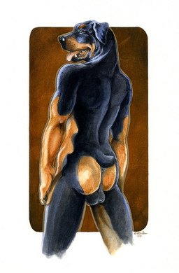 anthro anus backsack balls black_body black_fur butt fur genitals male multicolored_body multicolored_fur nude pose raised_tail rear_view scut_tail short_tail solo tail tail_anus tan_body tan_fur teeth tongue tongue_out heather_bruton canid canine canis domestic_dog mammal mastiff molosser rottweiler 2007 dated pinup signature