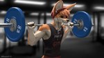 anthro athletic_wear blurred_background clothed clothing earbuds electronics exercise fur gym headphones inside male orange_body orange_fur shirt solo text text_on_clothing topwear weightlifting white_body white_fur workout geewolf canid canine fennec_fox fox mammal true_fox 16:9 2021 english_text hi_res widescreen