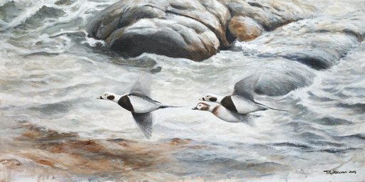 brown_markings feathers feral flying group markings rock sea trio water white_body white_feathers renum63 anatid anseriform avian bird duck long-tailed_duck sea_duck 2:1 acrylic_painting_(artwork) detailed painting_(artwork) traditional_media_(artwork) traditional_painting_(artwork)