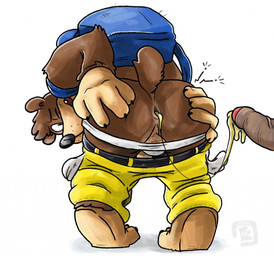 anthro anus backpack backsack balls barefoot bent_over bodily_fluids bottomwear bottomwear_down butt clothed clothing cum cum_drip cum_from_ass cum_in_ass cum_inside cum_string disembodied_penis dripping duo erection feet foreskin gaping gaping_anus genital_fluids genitals holding_butt looking_at_viewer looking_back male male/male pants pants_down partially_clothed partially_retracted_foreskin penis perineum pull_out raised_tail simple_background solo_focus tail topless underwear underwear_down vein veiny_penis wince bowserboy101 banjo-kazooie rareware banjo_(banjo-kazooie) bear mammal signature