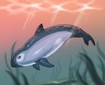 ambiguous_gender bedroom_eyes detailed_background feral glistening glistening_body grey_body light light_beam narrowed_eyes seaweed seductive smile smirk solo sunbeam sunlight underwater water yellow_eyes hoot_(artist) cetacean mammal marine vaquita