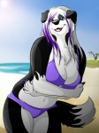 anthro beach bikini blue_eyes breasts cleavage clothed clothing dipstick_tail female markings outside seaside skimpy sky slightly_chubby smile solo swimwear tail tail_markings tight_clothing two-piece_swimsuit theothefox border_collie canid canine canis collie domestic_dog herding_dog mammal pastoral_dog sheepdog 3:4