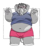 anthro belly big_belly bottomwear chubby_cheeks clothing kemono male navel overweight overweight_male shirt shorts simple_background solo topwear inunoshippo elephant elephantid mammal proboscidean 2024