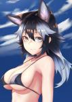 bikini black_hair blue_eyes breasts clothing female hair heterochromia inner_ear_fluff looking_at_viewer smile solo swimwear tuft two-piece_swimsuit yellow_eyes st.takuma kemono_friends grey_wolf_(kemono_friends) animal_humanoid canid canid_humanoid canine canine_humanoid humanoid mammal mammal_humanoid wolf_humanoid half-length_portrait portrait