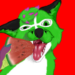 ambiguous_gender anthro black_body black_fur bodily_fluids duo eating feral food fruit fur green_body green_eyes green_hair hair melon mouth_shot open_mouth plant purple_body purple_hair purple_scales saliva saliva_on_tongue saliva_string scales silly silly_face solo teeth teeth_showing white_body white_fur jasper_gale mythology jlg stormrise canid canine dragon fox mammal mythological_creature mythological_scalie scalie 1:1