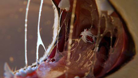 bodily_fluids imminent_vore macro micro mouth_shot open_mouth oral_vore saliva teeth tongue uvula vore shinyumbra maple_(shinyumbra) titanleon_(character) canid canine mammal 16:9 3d_(artwork) 4k absurd_res digital_media_(artwork) hi_res widescreen