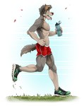 anthro athletic_wear biped bottomwear brown_eyes bulge chin_tuft clothed clothing dolphin_shorts exercise facial_tuft featureless_chest fur grass grey_body grey_fur grey_hair gym_bottomwear gym_shorts hair holding_water_bottle jogging male pink_nose plant plantigrade red_bottomwear red_clothing red_shorts running_shoes shorts simple_background solo tongue tongue_out topless topless_anthro topless_male tuft white_background jackaloo mark_(jackaloo) canid canine canis domestic_dog mammal 2021 absurd_res hi_res