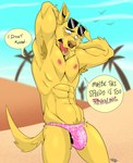 abs anthro areola armpit_hair beach biceps big_bulge body_hair bulge clothed clothing day dialogue eyebrows eyewear eyewear_on_head hands_behind_head looking_down male muscular muscular_anthro muscular_male navel nipples open_mouth outside palm_tree pecs plant pubes sand skimpy solo sparkles speedo standing sunglasses sunglasses_on_head swimwear teeth text tongue topless topless_anthro topless_male tree dragondrawer bojack_horseman netflix mr._peanutbutter ambient_bird bird_dog canid canine canis domestic_dog hunting_dog labrador mammal retriever 2025 absurd_res english_text hi_res