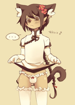 5_fingers accessory anthro armwear black_nose braided_hair brown_body brown_eyes brown_fur bulge clothing elbow_gloves ellipsis femboy fingers flower flower_in_hair fur gloves hair hair_accessory handwear inner_ear_fluff kemono legwear long_hair male plant presenting simple_background solo speech_bubble tan_body tan_fur text thigh_highs tuft underwear white_body white_fur toumitu mammal 2015 hi_res japanese_text portrait three-quarter_portrait