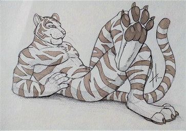 anthro athletic athletic_anthro athletic_male brown_pawpads brown_stripes feet fur male male_anthro markings mouth_closed nude pawpads solo spread_toes striped_arms striped_body striped_fur striped_legs striped_markings striped_tail stripes tail tail_markings toes whiskers hufnaar felid mammal pantherine tiger 2017 absurd_res dated hi_res traditional_media_(artwork)