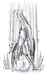 bathing eyes_closed feathered_wings feathers feral long_beak long_neck male nude semi-anthro showering skinny slim solo tail tail_feathers water wet wings dreamworks kung_fu_panda master_crane avian bird black-necked_crane crane_(bird) gruiform grus_(genus) 2016 hi_res monochrome sketch