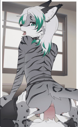 anal anal_penetration anthro balls black_stripes blue_eyes bodily_fluids braided_hair chastity_cage chastity_device clothed clothing collar crossdressing cum cum_in_ass cum_inside duo ear_tuft ejaculation erection femboy fur garter_belt garter_straps genital_fluids genitals green_hair hair hand_on_butt heart_symbol legwear looking_back looking_pleasured male male/male male_penetrated male_penetrating on_bottom on_top open_mouth penetration penile penile_penetration penis reverse_cowgirl_position sex striped_body striped_fur stripes tail thigh_highs tongue tongue_out tuft white_body white_fur white_hair window kroxa moito microsoft the_elder_scrolls arc_(arc-the-khajiit) felid feline khajiit mammal pantherine snow_leopard animated