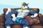 abs agonylight anthro biceps big_muscles biped bottomwear bulge canid canine canis clothed clothing countershading detailed_bulge digital_media_(artwork) dipstick_tail fur fur_tuft furniture genital_outline grey_body hi_res inside kemono looking_at_viewer male mammal markings muscular muscular_anthro muscular_male pecs penis_outline shorts sitting smile snowjune sofa solo spread_legs spreading tail tail_markings topless topless_male tuft white_body white_countershading white_tail_tip wolf yellow_eyes yellow_markings