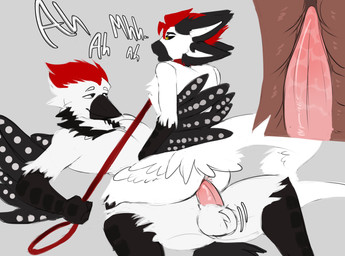 4_ears anal anal_penetration animal_genitalia anthro anthro_on_anthro anthro_penetrated anthro_penetrating anthro_penetrating_anthro anthro_penetrating_male balls beak black_body black_eyes black_feathers bodily_fluids butt collar cowgirl_position cutaway dominant dominant_male duo enjoying erection feathered_wings feathers from_front_position fur genital_fluids genitals grey_background hair holding_object internal internal_anal leash leash_pull looking_at_another looking_pleasured lying male male/male male_anthro male_on_anthro male_on_bottom male_on_top male_penetrated male_penetrating male_penetrating_anthro male_penetrating_male moan multi_ear multicolored_body nude on_back on_bottom on_top open_mouth penetration penile penile_penetration penis penis_in_ass pink_genitals pink_penis red_body red_eyes red_hair selfcest sex simple_background spots square_crossover submissive submissive_male tail tail_feathers tapering_penis text white_balls white_body white_feathers white_fur white_genitals wings yellow_eyes necrodura layvan layvan_(avali) avali avian bird picid woodpecker 2026 absurd_res digital_media_(artwork) hi_res