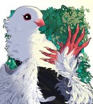 anthro beak black_clothing black_eyes claws clothed clothing feathers finger_claws fingers looking_at_viewer red_beak red_fingers red_hands solo white_body white_feathers lljh avian bird 2024 hi_res