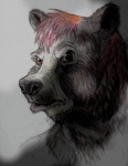 alin_raven angry anthro bear hair looking_at_viewer male mammal nude solo