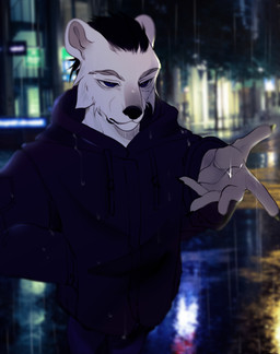 anthro black_clothing black_hair black_nose blue_eyes cheek_tuft clothing constellation_markings countershading facial_tuft fur gradient_fur grey_body grey_fur hair hoodie male rain_drops raining reverse_countershading soaked solo topwear tuft white_body white_fur mude lun_(lunerman) bear mammal polar_bear ursine absurd_res hi_res