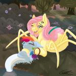 brush duo female feral couchcrusader friendship_is_magic hasbro my_little_pony fluttershy_(mlp) rainbow_dash_(mlp) arachnid arachnid_taur arthropod arthropod_taur equid equine horse hybrid mammal pony siren spider spider_taur spiderpony taur 1:1 2016