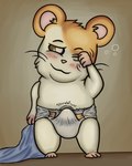 anthro blush bulge clothed clothing diaper diaper_fetish diaper_only erection erection_in_diaper fur groggy hair looking_at_viewer male morning morning_wood orange_body orange_fur simple_background solo tenting tired topless waking_up wearing_diaper white_body white_fur atotom912 hamtaro_(series) hamtaro cricetid hamster mammal rodent absurd_res digital_media_(artwork) hi_res