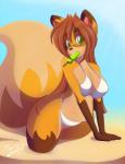 anthro big_breasts breasts brown_hair clothed clothing eyewear female food glasses green_eyes hair long_hair navel popsicle solo swimwear tiger1001 shari_(tiger1001) canid canine fox mammal 2014 digital_media_(artwork)