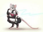 anthro armwear bottomwear bra breasts claws cleavage clothed clothing crouching elbow_gloves female fingerless_gloves fur gloves hair handwear looking_at_viewer shorts simple_background solo underwear whiskers white_background white_body white_fur white_hair s00t mammal mouse murid murine rodent