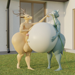 anthro balls belly belly_expansion belly_inflation big_balls big_belly big_penis bloated brown_body brown_fur building butt butt_expansion duo expansion from_front_position fur genitals grass green_body green_fur hand_on_belly hose hose_in_butt hose_in_mouth hose_inflation house huge_balls huge_belly huge_hips huge_penis huge_thighs hyper hyper_belly inflation larger_male liquid_inflation looking_at_another looking_at_partner looking_down looking_pleasured looking_up male male/male navel nude outdoor_nudity outside penis penis_on_belly plant size_difference smaller_male thick_thighs wide_hips fernkarrythewolf beastars legoshi_(beastars) louis_(beastars) canid canine canis cervine deer mammal red_deer wolf 1:1 3d_(artwork) blender_(artwork) digital_media_(artwork) hi_res