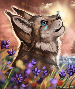 blue_eyes day detailed_background duo feral fur outside sky sun tan_body tan_fur flashw felid feline lynx mammal 2019 digital_media_(artwork) headshot_portrait portrait