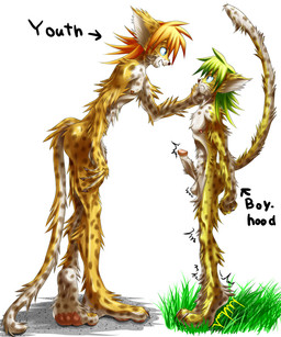 age_difference annoyed anthro anthro_on_anthro balls black_nose blue_eyes brown_body brown_fur claws contextual_arrow directional_arrow duo emaciated erection eye_contact fist flaccid foreskin frown fur fur_markings genitals glare grass green_hair hair hand_on_face humanoid_genitalia humanoid_penis information_label leaning leaning_forward looking_at_another male male/male markings messy_fur motion_lines multicolored_body multicolored_fur nipples nude older_male open_mouth open_smile orange_hair pawpads penis pink_pawpads plant retracted_foreskin shaking shota simple_background smile spots standing text thin_calves thin_legs thin_thighs whiskers white_background white_body white_fur yellow_body yellow_fur young young_anthro younger_male sheeque felid mammal 2009 english_text source_request