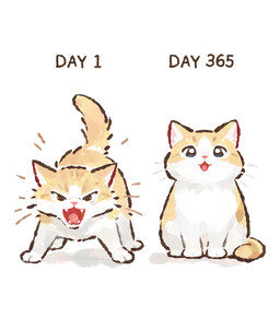ambiguous_gender angry before_and_after black_eyes feral front_view fur looking_at_viewer open_mouth open_smile pink_nose pink_tongue quadruped simple_background sitting smile solo text tongue whiskers white_background white_body white_fur yellow_body yellow_fur gentleeeeeeecat domestic_cat felid feline felis mammal colored digital_drawing_(artwork) digital_media_(artwork) english_text hi_res shaded