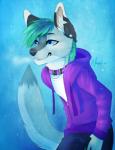 anthro biped blue_eyes clothed clothing collar dipstick_tail ear_piercing femboy grin hoodie male markings multicolored_tail piercing smile solo standing tail tail_markings topwear two_tone_tail nayel-ie canid canine canis mammal wolf 2014 hi_res