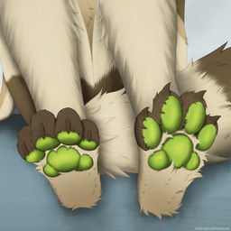 4_toes anthro biped brown_body brown_claws brown_fur brown_tail_tip claws dipstick_tail feet foot_focus fur green_pawpads male markings multicolored_body multicolored_fur pawpads paws sitting solo tail tail_markings toes white_body white_fur white_tail red_the_kitsune canid canine canis mammal wolf 1:1 2026 absurd_res digital_media_(artwork) hi_res shaded watermark