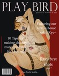 absurd_res anthro anus avian avian_feet avian_legs ball_gag beak bedroom_eyes bird chastity_cage chastity_device chest_tuft clothing collar complex_body_markings complex_markings cover cuff_(restraint) english_text feathered_tail feathered_wings feathers feet fluffy fluffy_chest gag genitals hair hair_over_eye hi_res jufu leather leather_cuffs lingerie magazine magazine_cover male markings narrowed_eyes orange_feet owl penis playboy porn_magazine pornography presenting presenting_anus restraints rye_owl_(character) seductive solo spots spotted_markings spread_legs spreading straps tail talons tapering_penis text thick_thighs toes tuft wings