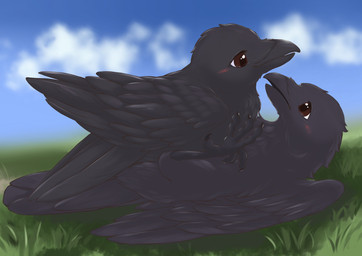 ambiguous_gender beak black_body black_feathers black_wings blush brown_eyes claws cloud day duo feathered_wings feathers feet feral feral_on_feral grass looking_at_another lying monotone_body on_back outside plant sky toes wings fusau avian bird corvid corvus_(genus) oscine passerine 2022 absurd_res detailed digital_media_(artwork) hi_res