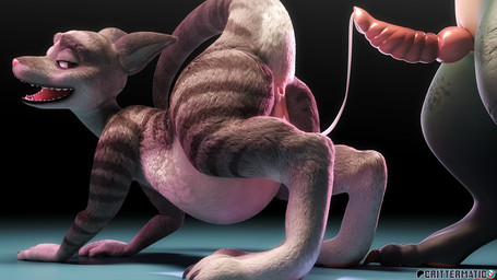 after_sex anthro bodily_fluids cum cum_inflation cum_inside digitigrade duo female fur genital_fluids inaccurate_knotting inflation looking_back male male/female raised_tail scales tail tail_anus conditional_dnp crittermatic biscuit_(crittermatic) kale_(critterclaws) kobold macropod mammal marsupial scalie 3d_(artwork) better_version_at_paywall digital_media_(artwork) hi_res